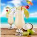 �f�R���[�V���� �t���[�c�s�b�N �J�N�e�� �P BAR ������� ���p�P 100 �{ �֘A�摜2