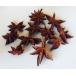  star anise ( hole ) selection another goods 50g entering 