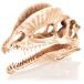 [ бесплатная доставка по всей стране ] Vaio Kimi arepti Skull tirofosaurus новый товар 
