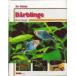 [ вся страна стоимость доставки 360 иен соответствует ] Ihr Hobby Barblinge клапан(лампа). книга@[ ограничение 2 шт ]