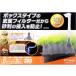 [ бесплатная доставка по всей стране ] Kotobuki низ фильтр низ box 300