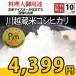 お米 29年産　10kg川越蔵米コシヒカリ 白米 (5kg×2)  契約農家直送米　