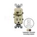 �А؂�X�C�b�`/�R���Z���g LEVITON�@274