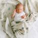 saranoni Sara нони хлопок Moss ополаскиватель wa доллар 2 листов ввод сосна baby младенец воспитание детей уход за детьми подарок подарок 