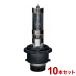 �J�V���� HID�o�[�i�[ �����F�ɋ߂�4500K D2R/S 12V-24V�ǂ�����Ή� 1��10�{�Z�b�g NB-205