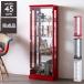 �G�X�e45 �R���N�V�������b�N �����i ��45cm ����128cm ���s25cm �t�B�M���A�P�[�X �R���N�V�����P�[�X �K���X�P�[�X �V���[�P�[�X ����s��