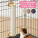  коготь .. клетка установка 40cm кошка paul (pole) лен . натуральное дерево симпатичный компактный съемный compact легко устанавливается . кошка для .... клетка для лен домашнее животное 