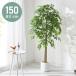  искусственная зелень модный Benjamin натуральное дерево большой средний fi rental Benjamin .. класть пол класть 150cm натуральный простой Северная Европа декоративное растение человеческий труд декоративное растение 