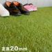 �l�H�� ���[�� 1m�~10m���� �ō�20mm ���A���l�H�� ���[���^�C�v DIY �G�N�X�e���A �h�� �S���t �}�b�g �� �x�����_ �h�b�O���� ����s��
