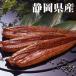  Shizuoka префектура производство Hamana озеро ...120g×3 хвост земля для угорь ... подарок на Bon Festival .. день лето подарок ваш заказ гурман ... . подарок подарок оплата при получении не возможно 