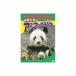 �A�W�A�̂ǂ��Ԃ� DVD CD DVD Blu-ray ����s�� ���[����