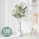 �l�H�ϗt�A�� �I���[�u �t�F�C�N�O���[�� ��^ �I���[�u 130cm ������� �i�`������ �V���v�� �t�F�C�N ���� ���A�� �ϗt�A��