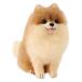  - manaka шерстяной войлок комплект Acre -n.... симпатичный DOG & CATpomelani Anne H441-539 1 комплект (3 шт )( прямая поставка товар )