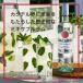 �o�J���f�B �X�y���I�[�� �z���C�g 40�x�@750ml 1�{ ���K�i�@���� �֘A�摜1