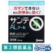  солнечный teAL прохладный II 15ml три небо производства лекарство *. исключая * глаз. ..... глаз лекарство аккуратный * прохладный ... ощущение [ no. 2 вид фармацевтический препарат ]