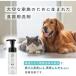 �i�`������ �y�b�g�p �H���� �l�ߑւ��p 180ml 1�� �L�� �֘A�摜2
