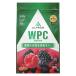  cывороточный протеин WPC Mix Berry способ тест 1 пакет (900g) Alp long ALPRON