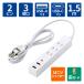  Elecom USB ответвление удлинитель 1.5m розетка ×3.USB-C×1 A×2 белый ECT-38-3A2C15WH 1 шт 