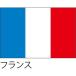 [ outlet ] Hattori отвечающий .* оборудование орнамент для флаг Франция 135×90cmponjiflag0146 1 листов 