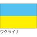 [ outlet ] Hattori отвечающий .* оборудование орнамент для флаг uklaina105×70cmponjiflag0031 1 листов 