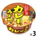 yama большой новый Touch ностальгия. карри udon 1 комплект (3 шт )