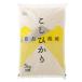 [ outlet ][ новый рис переключатель специальная цена ] Niigata префектура производство Koshihikari измельченный ри 5kg 1 пакет . мир 7 год производство рис дерево добродетель бог . оригинал 
