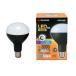 �A�C���X�I�[���} LED �����d�� ������p (��Ɠ� / ���[�N���C�g) 3000lm E39���� LDR27D-H-E39�i568663�j