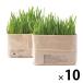  Muji Ryohin кошка . культивирование комплект 2 штук входит 10 комплект хорошая вещь план ( Itioshi )