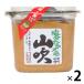  гора дуть соль минут ....650g 1 комплект (1 шт ×2) Shinshu тест . miso 