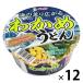  cup . черепаха udon 76g 12 шт 1 комплект (1 шт ×12) трубочник n
