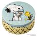[ outlet ]STEAM CREAM( пар крем ) Peanuts мороженое . стул .75g