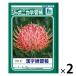  Showa Note japonika учеба . иероглифы тренировка .(...)B5 150 знак JL-51 2 шт. 