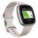 Google Fitbit Sense 2Lunar White/Platinum FB521SRWT-FRCJK 1 шт 