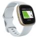 Google Fitbit Sense 2 Blue Mist/Pale Gold FB521GLBM-FRCJK 1 шт 
