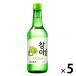 ..( Gin ro) коричневый ошибка ru мускат 13 раз 360ml 5шт.@ Корея shochu JINRO подлинный .