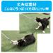 �˂����e �����ۂՂ�񂶂�炵 �� 1�{ �A�[�X�E�y�b�g �L�p �������� �֘A�摜4