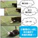 �˂����e �����ۂՂ�񂶂�炵 �� 1�{ �A�[�X�E�y�b�g �L�p �������� �֘A�摜5
