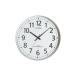 CITIZEN ե ° ȳݻ 8MY465-019