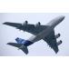  ɻݥ (Ϥ륷뼰) Х A380-800 ϥ顼  2007ǯ 饯 A380-004W2(磻 603mm376mm)