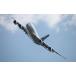 ɻݥ (Ϥ륷뼰) Х A380-800 ϥ顼  2007ǯ 饯 A380-008W2(磻 603mm376mm)