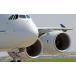  ɻݥ (Ϥ륷뼰) Х A380-800 ܥե󡦥󥸥 饯 A380-010W2(磻 603mm376mm)