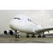  ɻݥ (Ϥ륷뼰) 롦ե AF Х A380-800 2009ǯ 饯 A380-018W2(磻 603mm376mm)
