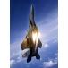  картина способ обои постер (. ... наклейка тип ) истребитель F-15E Strike Eagle вертикальный полет рис ВВС Cara черный UAFT-006A2(A2 версия 420mm×594mm)< сделано в Японии >