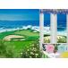 картина способ обои постер (. ... наклейка тип ) окно. декорации Ocean вид балкон терраса Golf course Cara черный WND-009S2(594mm×433mm)< сделано в Японии >
