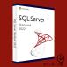 SQL Server 2022 Standard core лицензия + безграничный User CAL выпуск на японском языке [ загрузка версия ] / Microsoft Microsoft