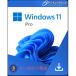 Microsoft Windows 11 Pro ơǡץȥ饤󥳡