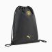 PUMA Puma 26/27 man Cesta - City MCFC ESS Jim sak черный 092911-02napsak за границей Club 13L черный 