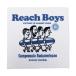 soccer junky футбол Jean ключ Mini полотенце REACH BOYS jr26d04 JERRY сотрудничество Jerry полотенце для рук подарок подарок сувенир 