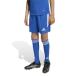adidas Adidas Kids TIRO 26 Lee g шорты команда королевский синий | белый zr834-ka8816 футбол одежда тренировка шорты синий 