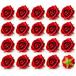 ���� �o�� ���[�Y�w�b�h 20�Z�b�g �v���|�[�Y ������ �T�v���C�Y ���o ���� DIY �B�e (���b�h,  ����)